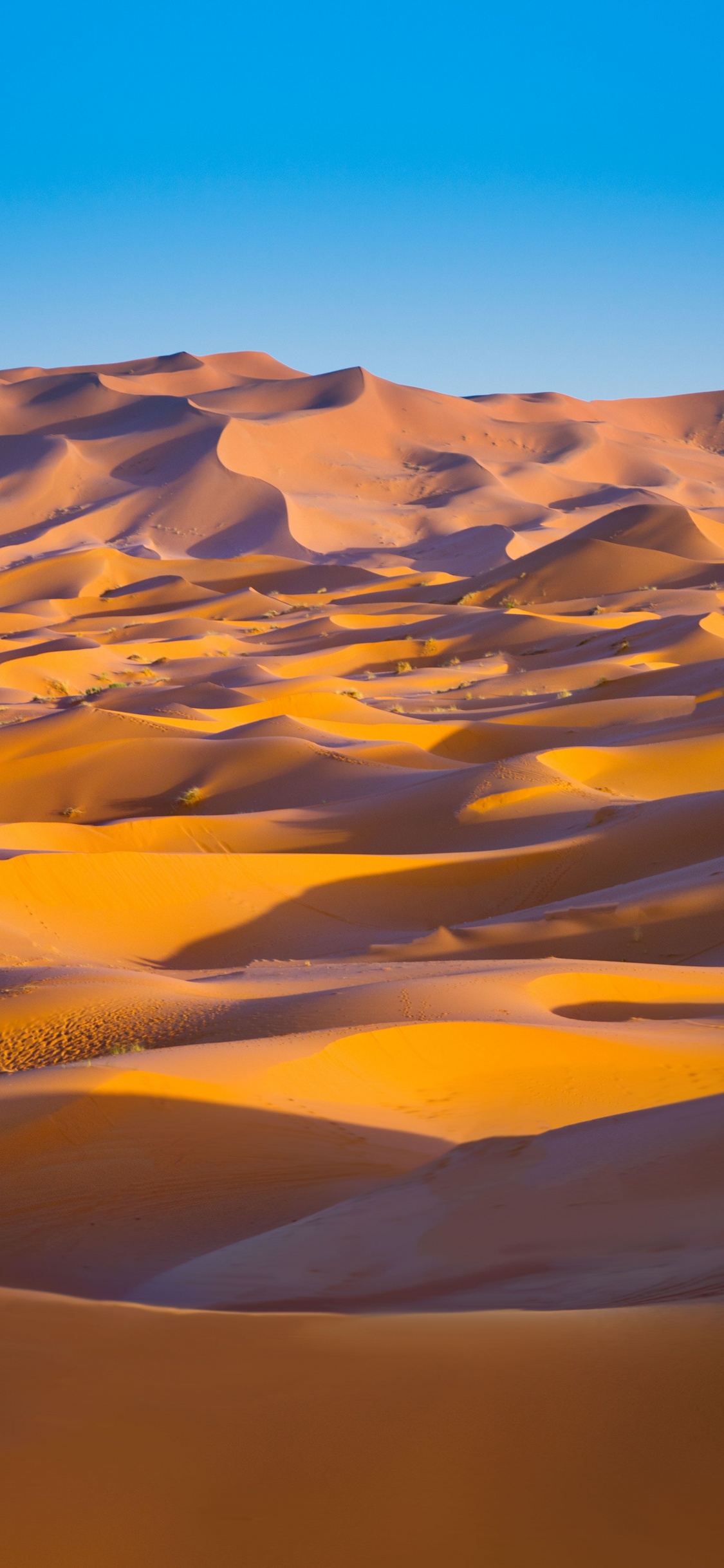 Sahara Desert 4K Wallpaper, Merzouga, Morocco, Sand dune